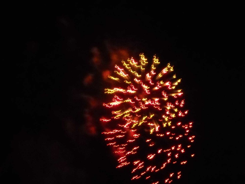 Fireworks at the Garden (44).jpg