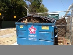 Post Garden Workday 08-13-18 - full dumpster