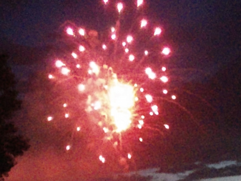 Fireworks at the Garden (31).jpg