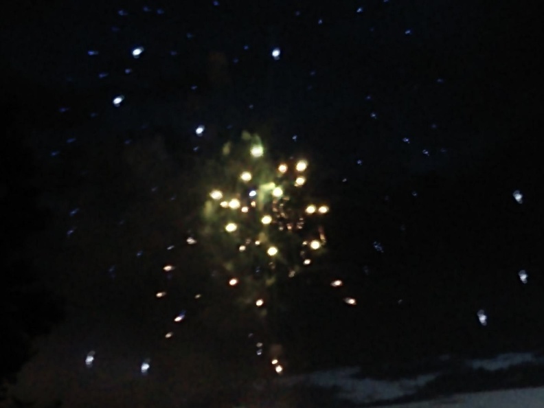 Fireworks at the Garden (30).jpg