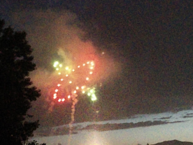 Fireworks at the Garden (24).jpg