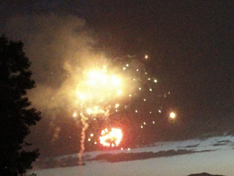 Fireworks at the Garden (23).jpg