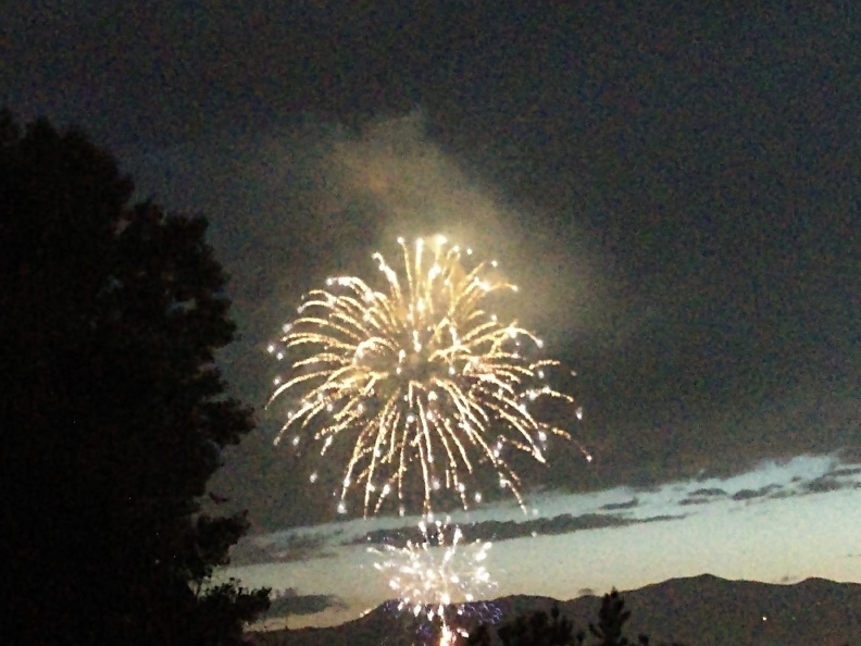 Fireworks at the Garden (20).jpg