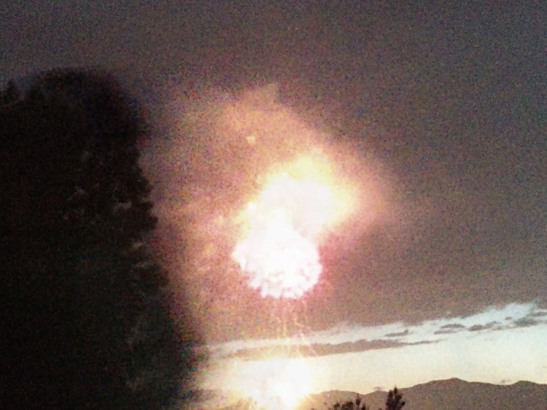Fireworks at the Garden (19).jpg