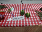Entries - Largest Bell Pepper