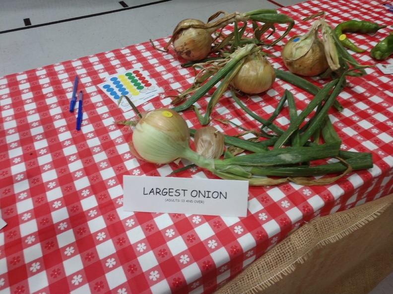 Entries - Largest Onion.jpg