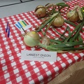 Entries - Largest Onion