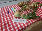 Entries - Largest Onion