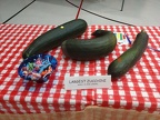 Entries - Largest Zucchini Kid