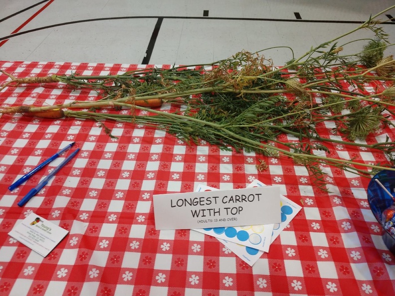 Entries - Longest Carrot.jpg