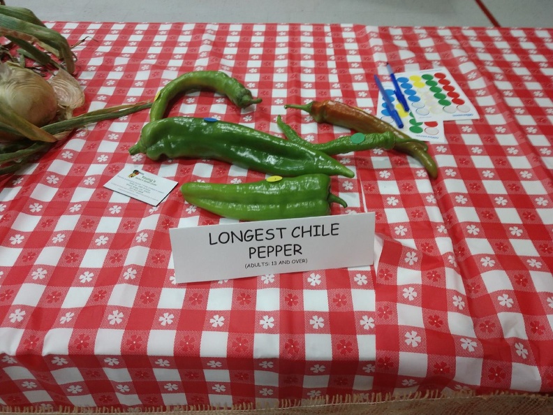 Entries - Longest Chili Pepper.jpg