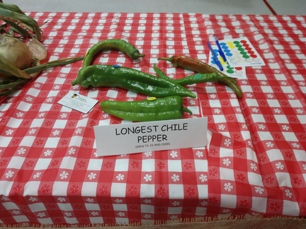 Entries - Longest Chili Pepper