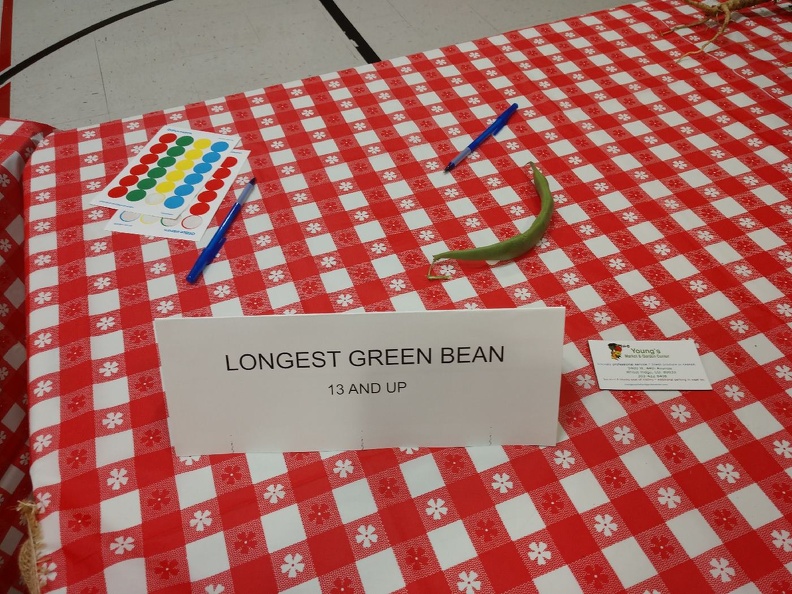 Entries - Longest Green Bean.jpg