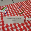Entries - Longest Green Bean
