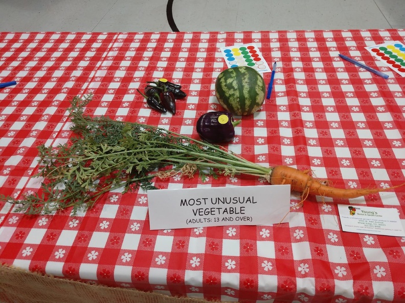 Entries - Most Unusual Vegetable.jpg