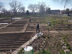 Spring Workday 04-25-20 (8)