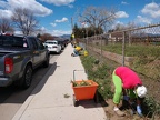 Spring Workday 04-25-20 (43)