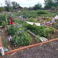 4th of July garden event (5)