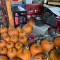 Pumpkins in the barn