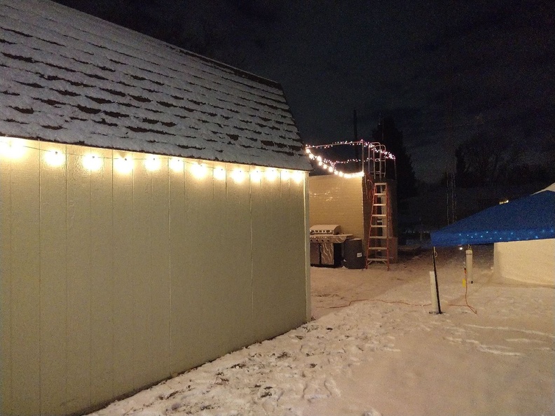 Christmas lights at the garden (4).jpg