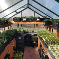 Brown's Greenhouse Donation (14)
