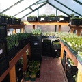Brown's Greenhouse Donation (19)