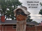 202 Masked stump (1)