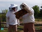 Bee Class with Mayor Marc (21)