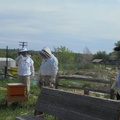 Bee Class with Mayor Marc (61)