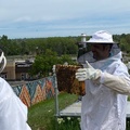 Bee Class with Mayor Marc (98)