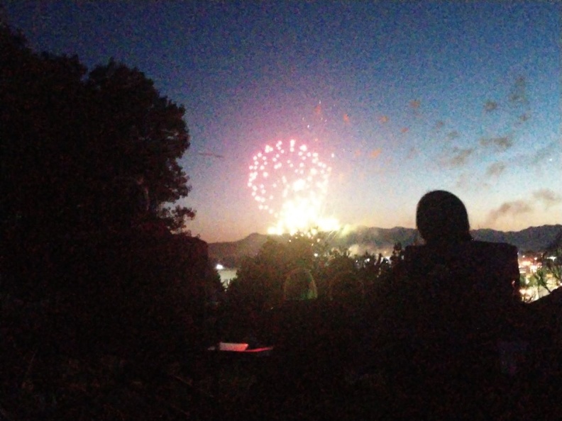 Fireworks at the Garden (28).jpg