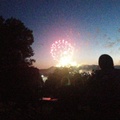 Fireworks at the Garden (28)
