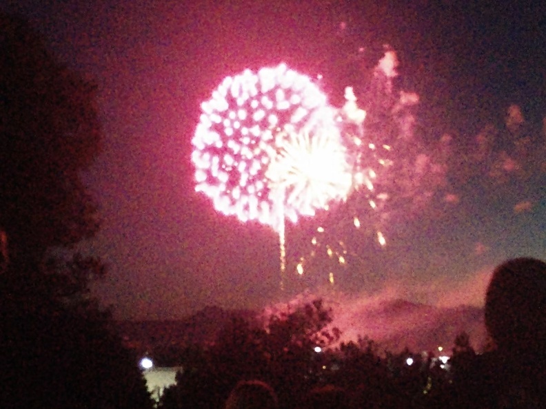 Fireworks at the Garden (32).jpg