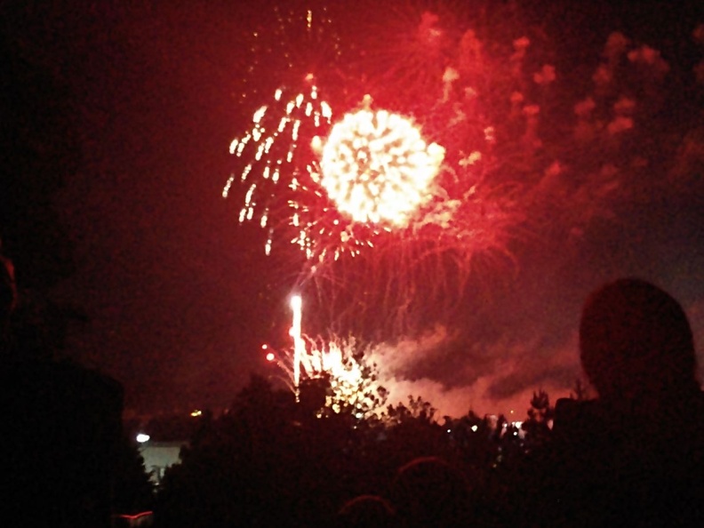 Fireworks at the Garden (35).jpg