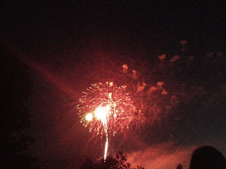 Fireworks at the Garden (37).jpg
