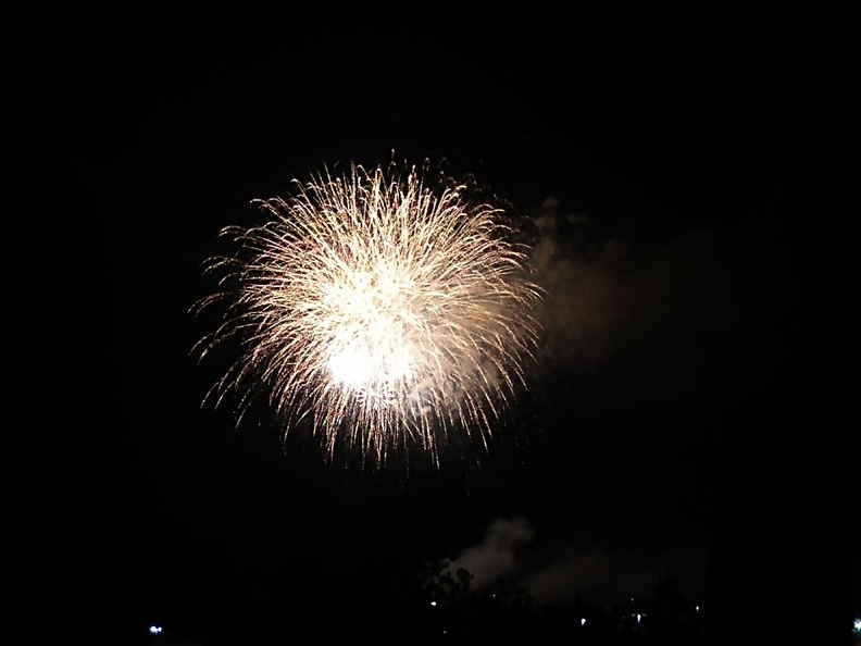 Fireworks at the Garden (43).jpg