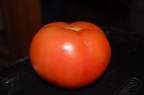Tomato Classes (01)