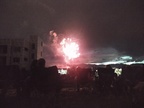 Fireworks at the garden (44)
