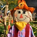 Garden Scarecrows (11)