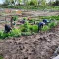 May Garden Workday (2)