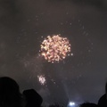Fireworks at the garden (3)