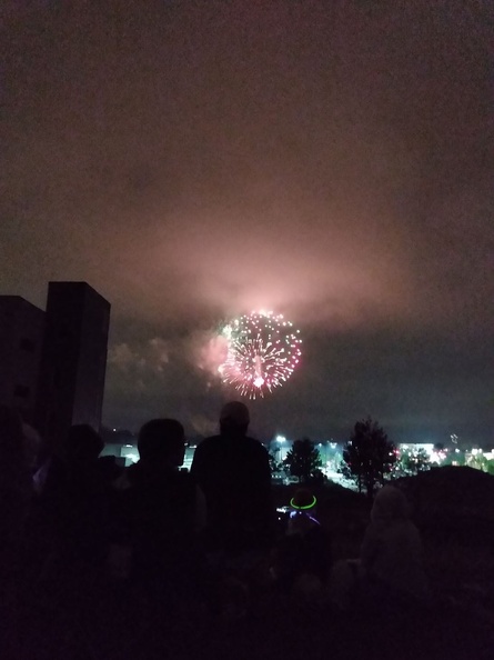 Fireworks at the garden (27)