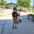 AHF Garden Harvest Contest - Best Decorated Vegetable - Kids