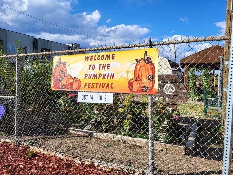 Pumpkin Festival Signs (1).jpg
