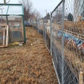 Paseo Temp Fence (10)
