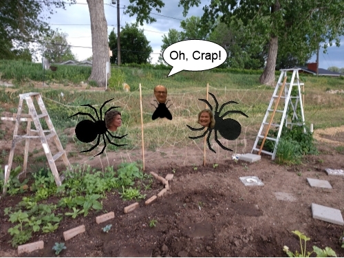 249 Spider Weg Garden.jpg